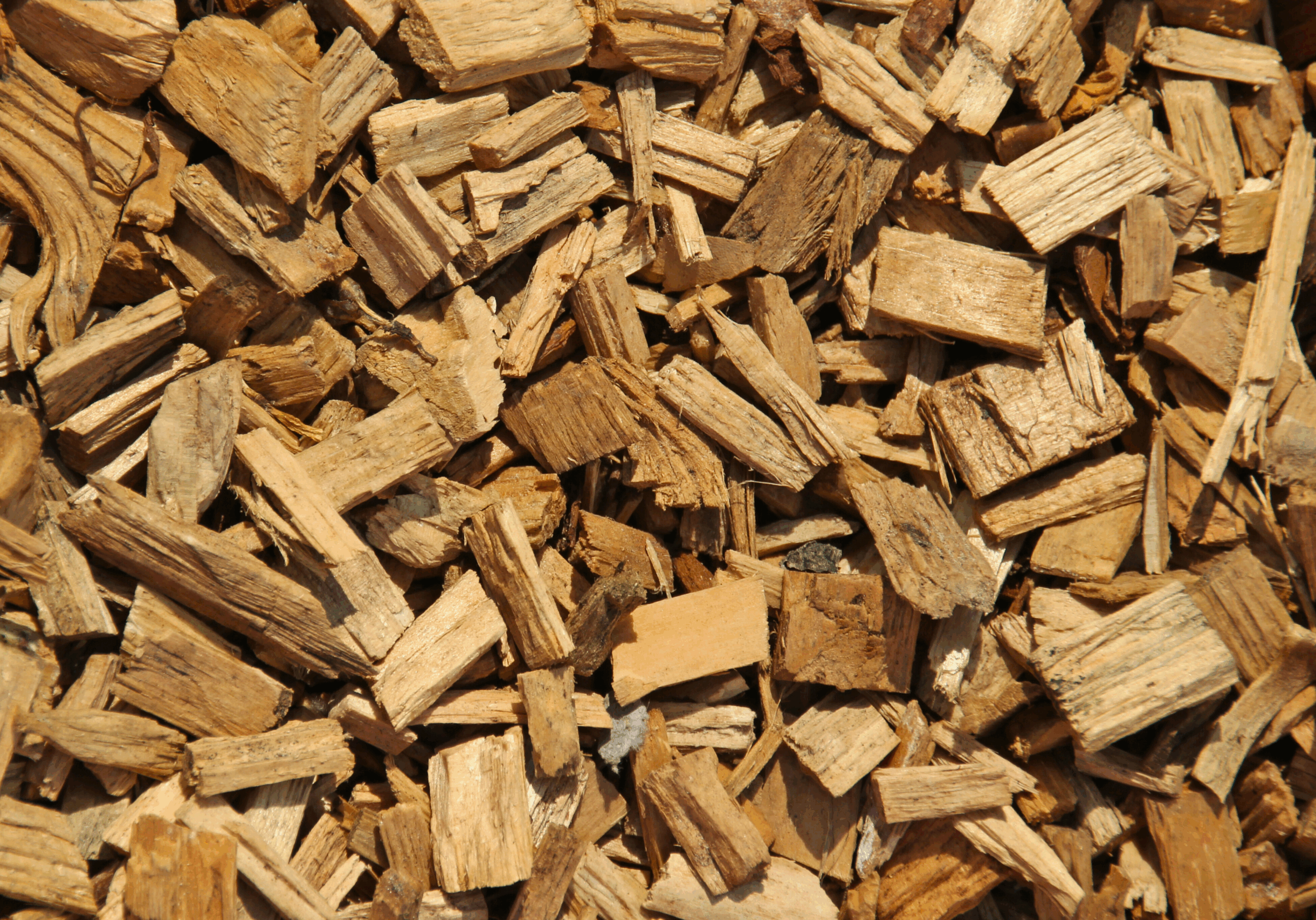 Wood Chips Wood Chips